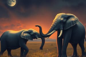 Elephant Communication Study