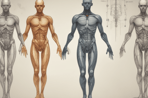 Human Body Water Composition