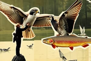 Falcon Observation and Trout Fishing