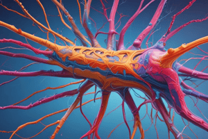 Neurophysiology II: Action Potentials and Synaptic Transmission