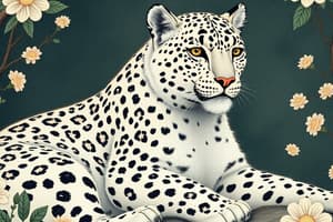 Snow Leopard Population in India