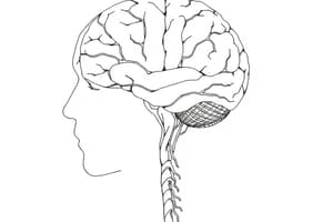 Drugs that affect the Nervous System