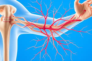 OT 505 Peripheral Nervous System Review