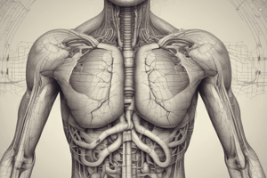 Gr 9 NATUURWETENSKAPPE: HFST 1.2 Die respiratoriese stelsel