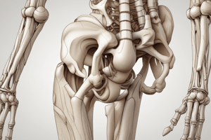 Anatomy of Synovial Joints