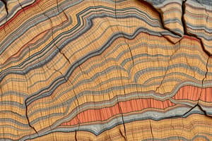 Metamorphism and Foliation Overview