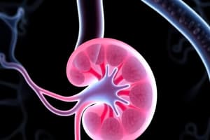 Quantitative Renal Studies Overview