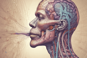 Respiratory Regulation in the Respiratory System