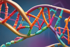 DNA Mismatch Repair Mechanism