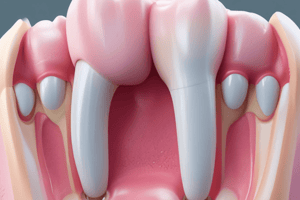 1)Dental Cements in Restorative Dentistry