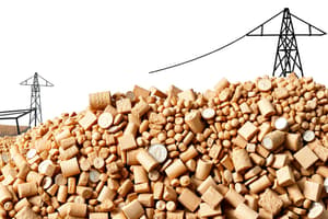 Aggregate Supply Curve Concepts