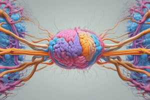 Objetivo 3: Vías Neurales del Aparato Vestibular