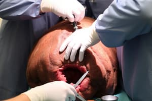 11 Equine Female Reproductive Surgery