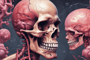 Tumor Classification and Characteristics