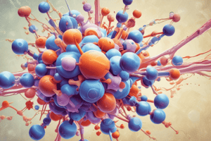 B Lymphocytes and Antibody Molecules