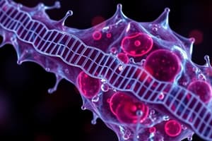 Biology Chapter: Cell Structure