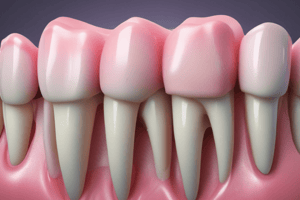 Periapical Periodontitis Overview