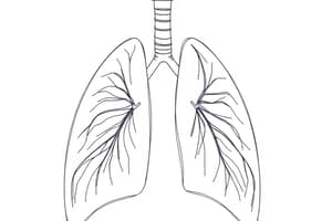 Fisiologia Respiratoria: Capienza Funzionale Residua (Fisiologia 41)