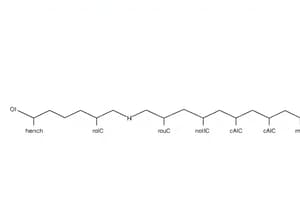 Classification of Carbohydrates