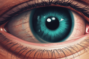 Anisocoria: Signs and Abnormalities