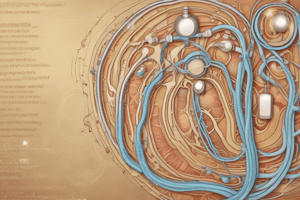 Urinary System Function and Disorders Quiz