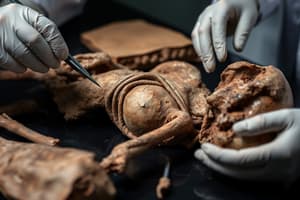 Forensic Examination of Human Remains