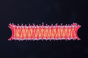 Biología celular: Membrana plasmática