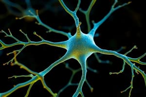 Introduction to Neurons and Neuroscience