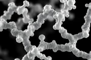 Glycosaminoglycans and Their Classification