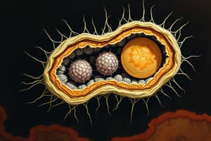 Cell Structure and Function Quiz