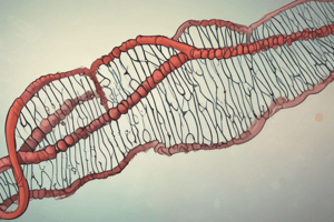 Biology: Genetics Basics Quiz