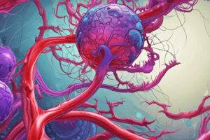 Functions of Plasma Proteins