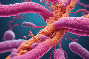 Bilirubin Metabolism in the GI Tract