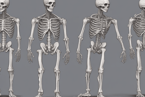 Anatomy and Dental Implants Quiz