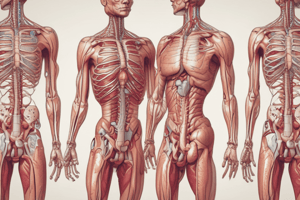 Gr 9 NATURAL SCIENCES: CH 1.2The circulatory system