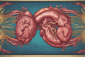 Acute Cholecystitis Pathogenesis