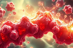 Biochemistry: Enzyme Action Mechanism