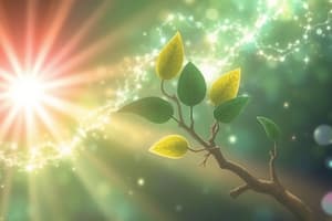 Photosynthesis, Energy, and Life: Chapter 9