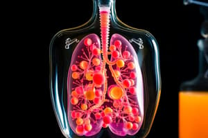 Anaerobic Respiration and Fermentation