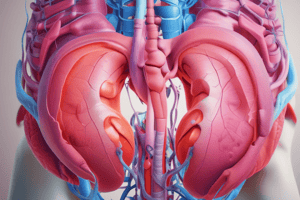 Pelvic Examination Process in Health Care