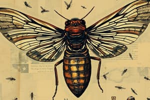 Cicada Emergence Patterns and Impacts