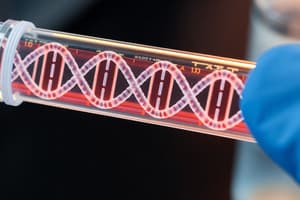 Polymerase Chain Reaction (PCR)