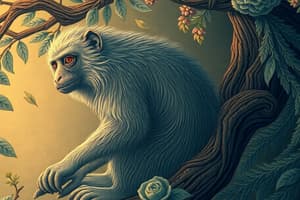 Human Evolution: Primate Characteristics