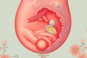 Placenta Formation and Types