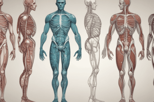 Body Systems