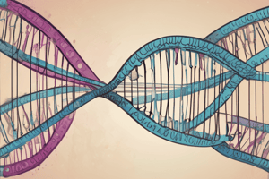 Genetic Mutations in Humans