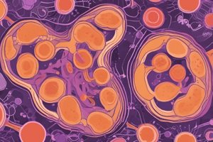 Actinomycin D in AML Therapy: Targeting NPM1c-Primed Mitochondria