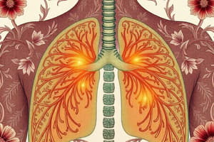 Human Respiratory System Quiz