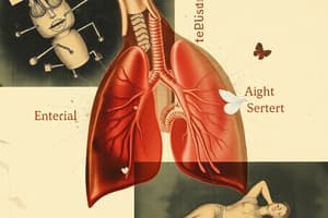 Internal Respiration & Pleural Effusions (LEC#8)