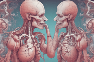 Respiratory System: Gas Exchange and Lung Function